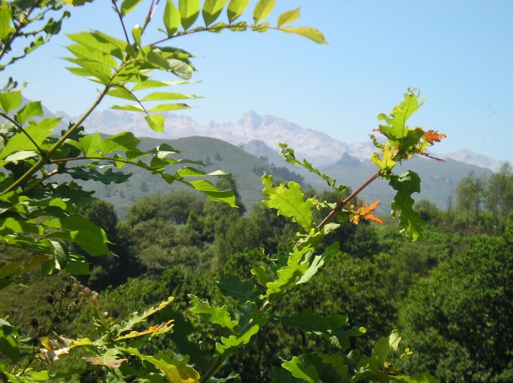 Casa Rural Alborada Bobia de Arriba Екстериор снимка